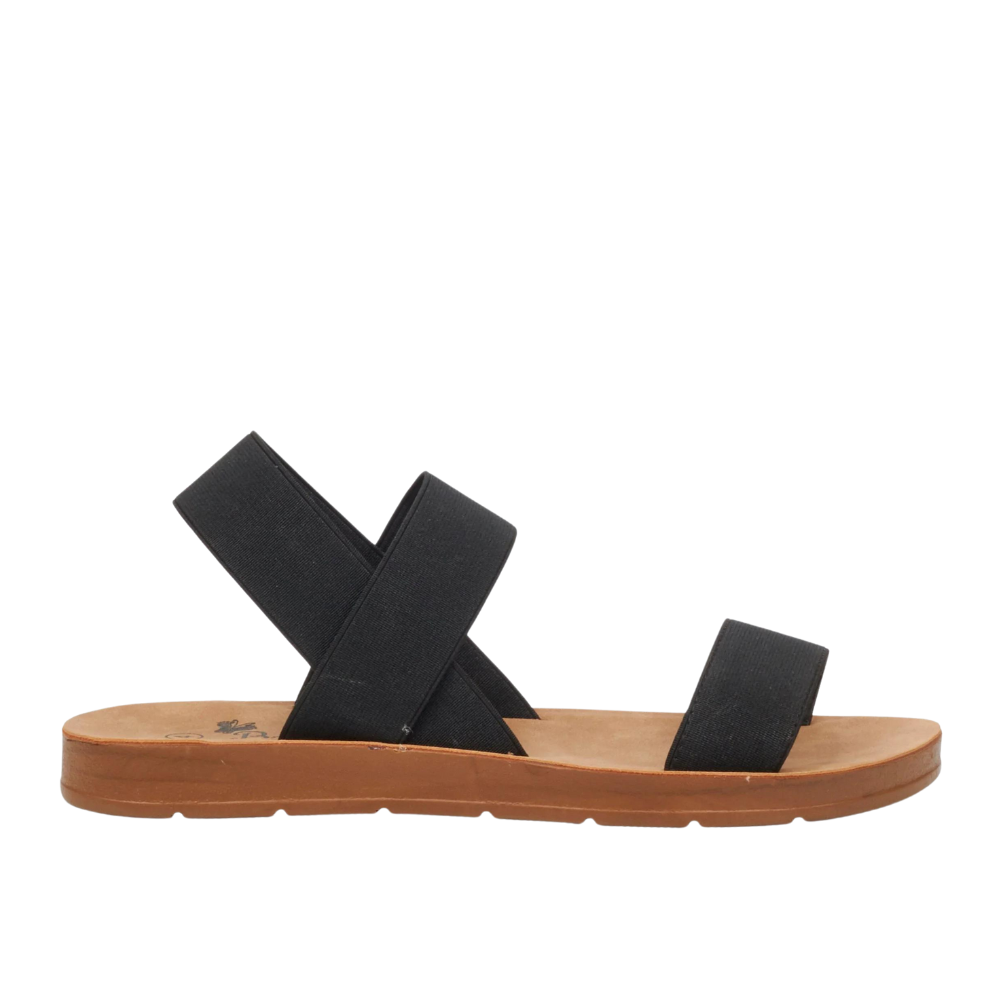 Butterfly Feet Zina 7 4068 Black Ladies Sandals | ChicShoetique