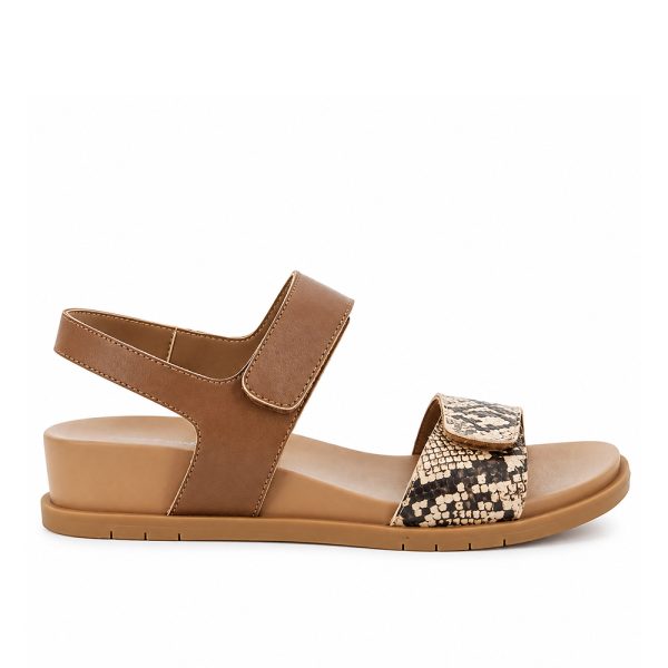 Hush Pup Lucia 5216 Brown
